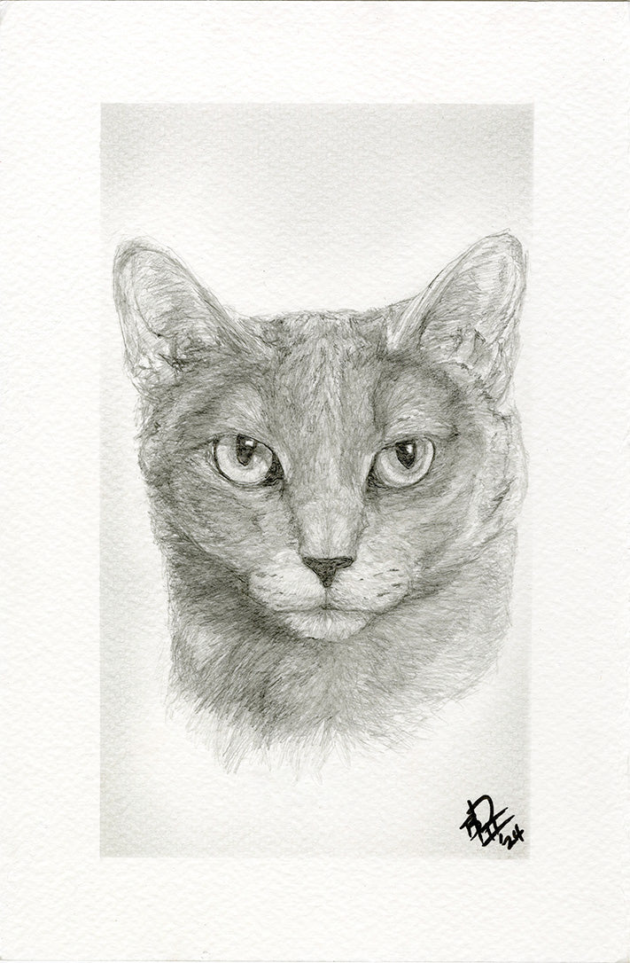 Earl_ – Limited Graphite Print