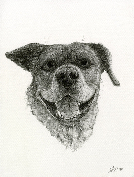 Bynn_ – Limited Graphite Print