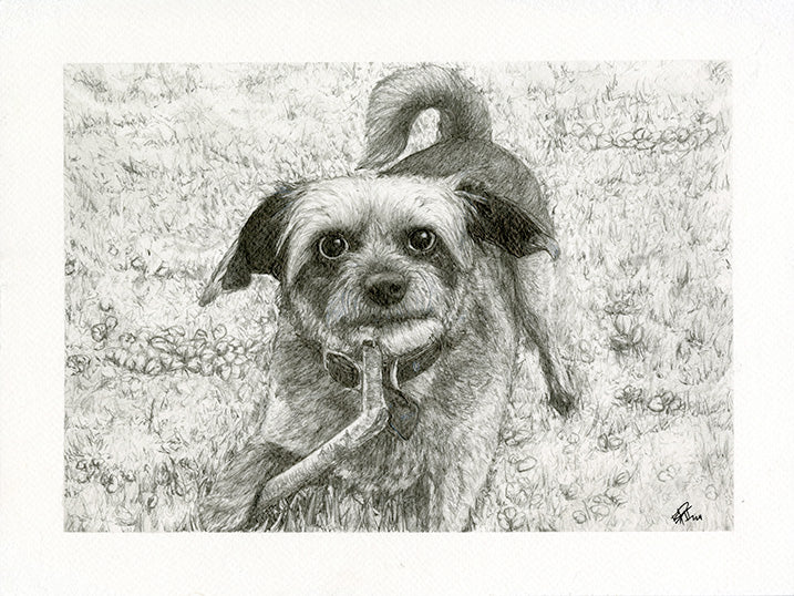 Nessie_ – Limited Graphite Print