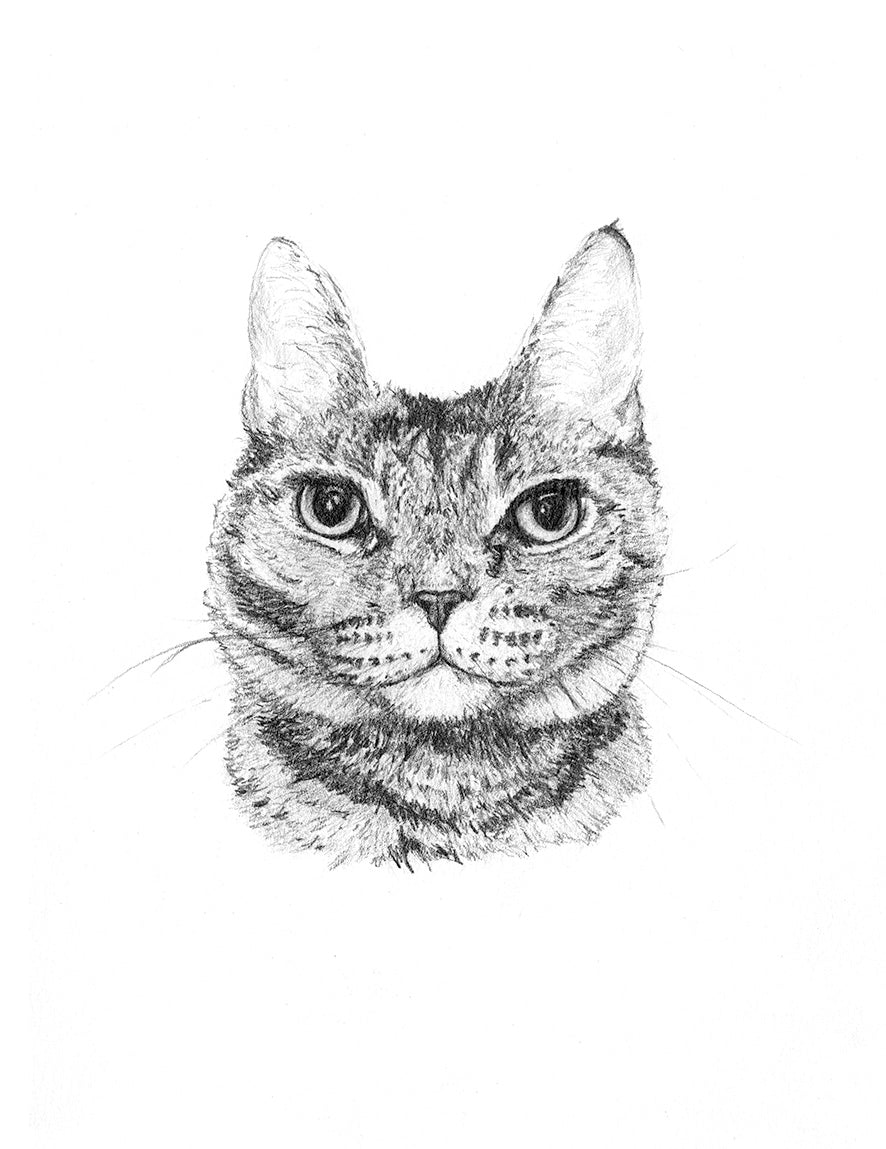 Beatrice – Limited Graphite Print