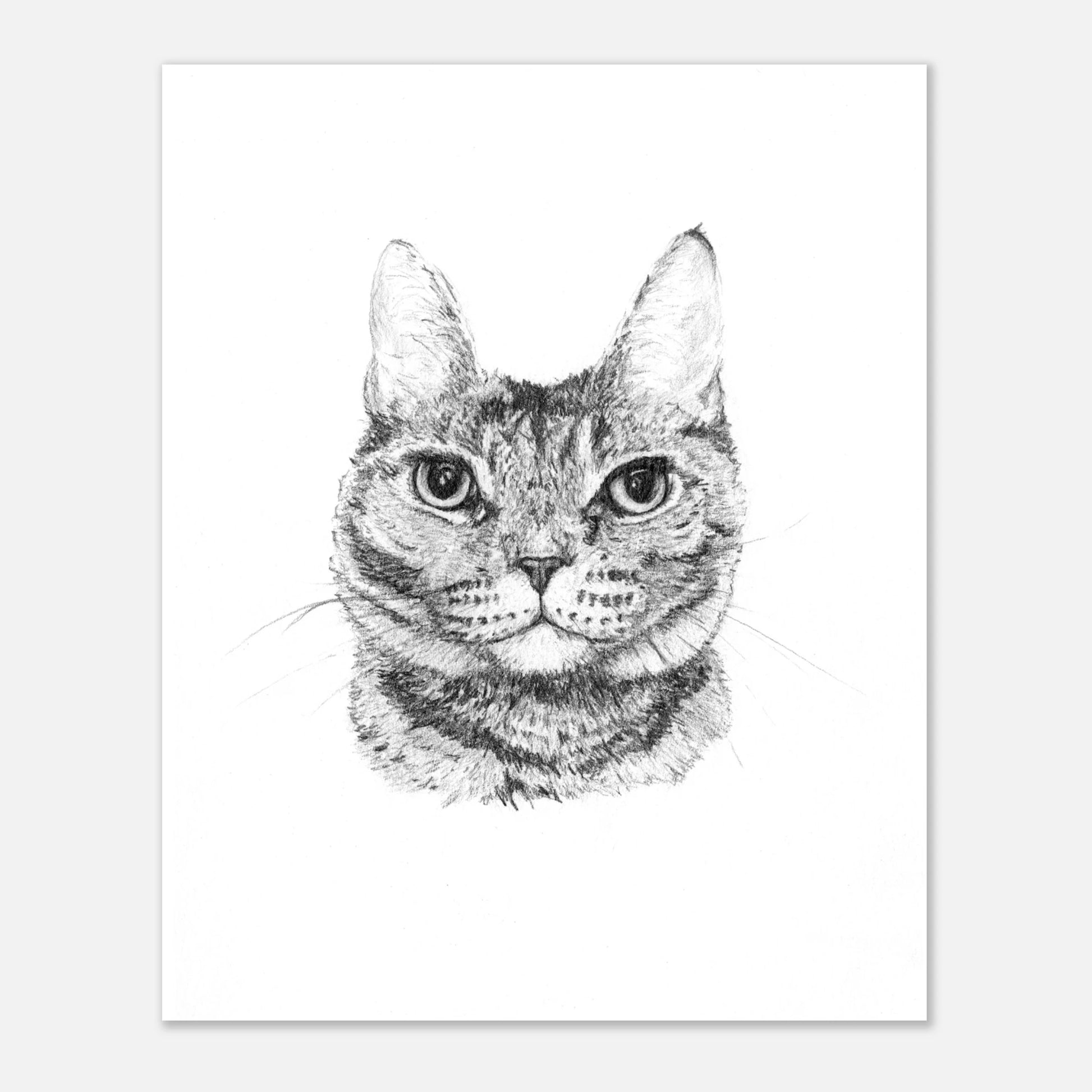 04c8dccb-0425-4217-b84c-6bbbc5b61144