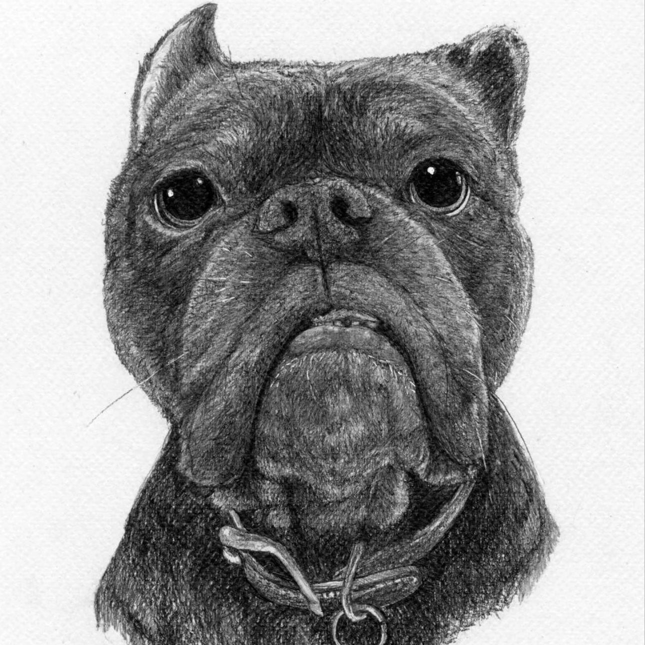 abba1905-6278-40ef-8036-62e39b7dac31