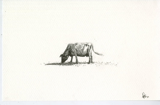 Cow I, original graphite drawing