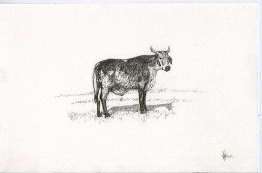 Cow II, original graphite drawing