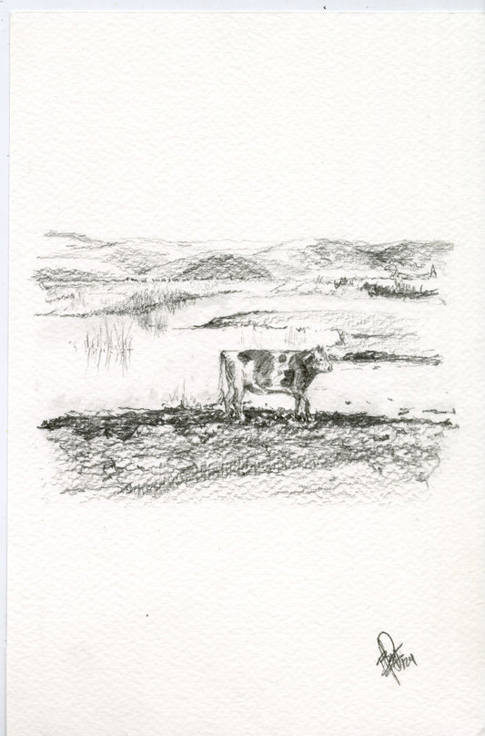 Cow IV, original graphite drawing