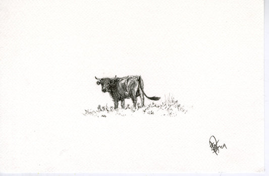 Cow V, original graphite drawing