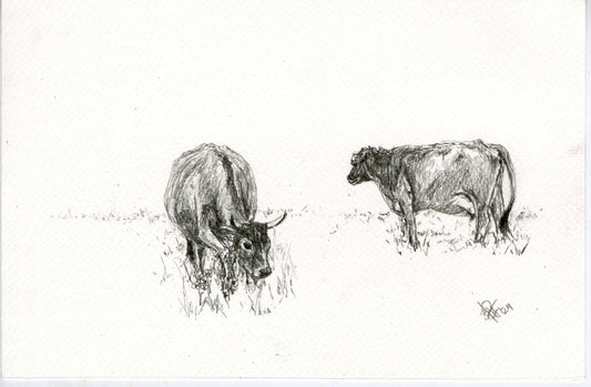 Cow VI, original graphite drawing