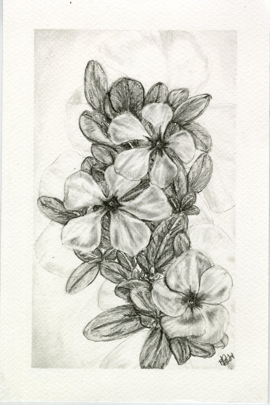 Wild Violets, graphite botanical print